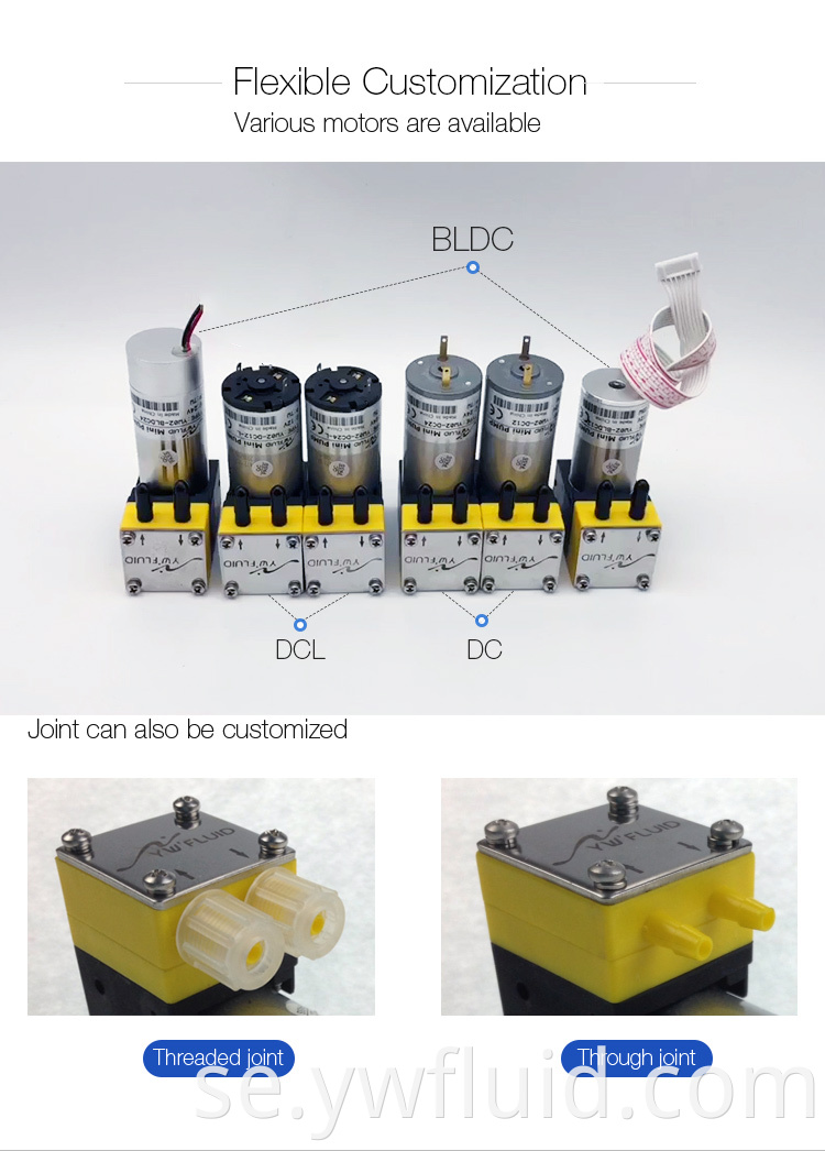 Micro dubbelhuvud BLDC borstlöst luftvattenmembranpump med 12V/24V bra kvalitet